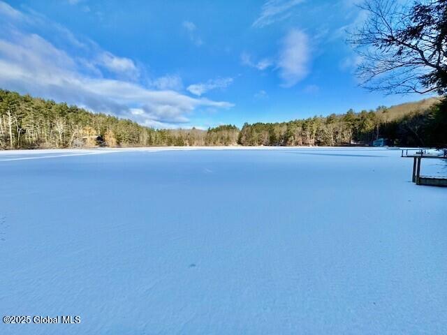 L37.3 E Green Pond Way, Hebron NY, 12832 land for sale