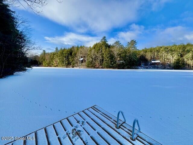 Listing photo 2 for L37.3 E Green Pond Way, Hebron NY 12832