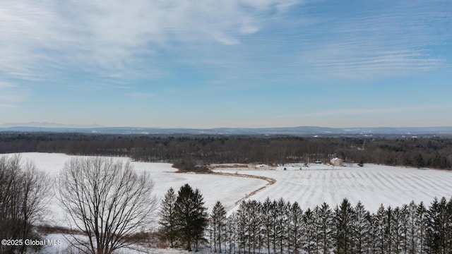 view of snowy aerial view