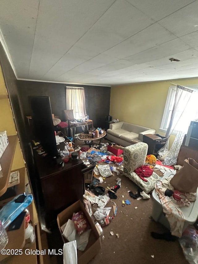 miscellaneous room with carpet floors and a healthy amount of sunlight