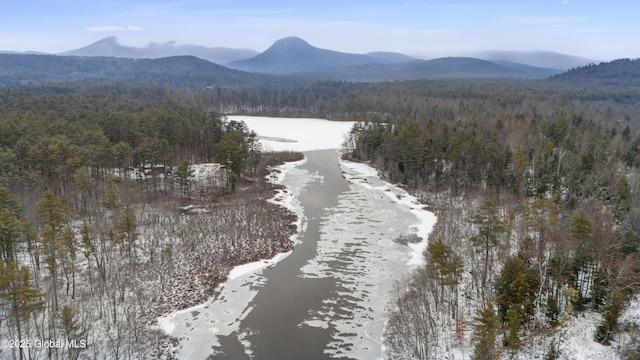 bird's eye view featuring a mountain view