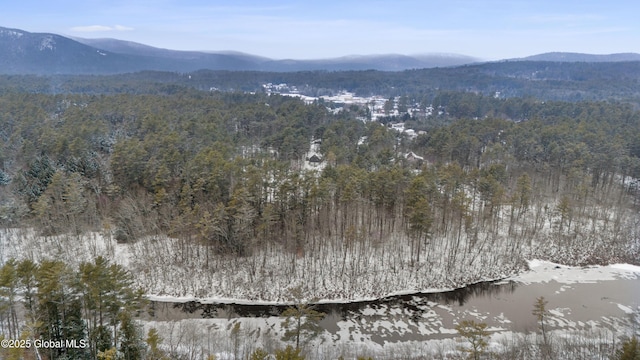 aerial view featuring a mountain view