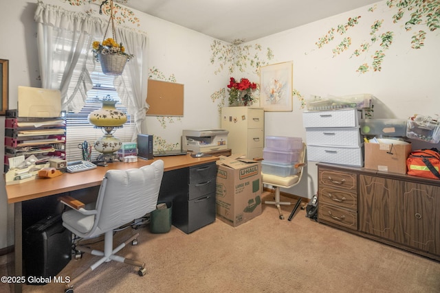 office space featuring light colored carpet