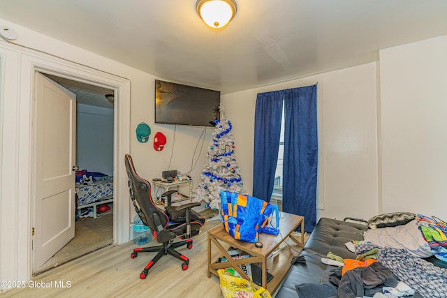 bedroom with hardwood / wood-style flooring