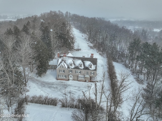 view of snowy aerial view