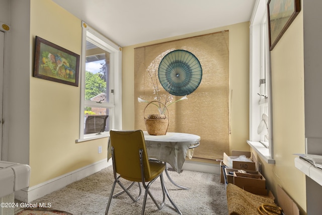 view of carpeted dining room