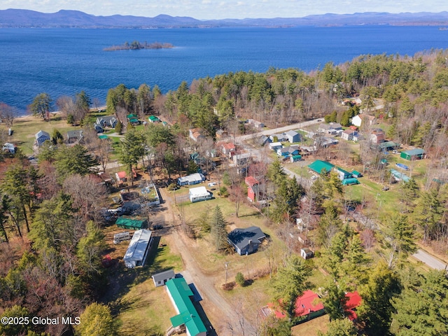 115 Chambers St, Broadalbin, NY 12025 - aerial overview of property's location featuring a water and mountain view
