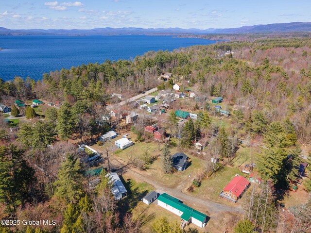 115 Chambers St, Broadalbin, NY 12025 - aerial view of property and surrounding area featuring a forest and a water and mountain view