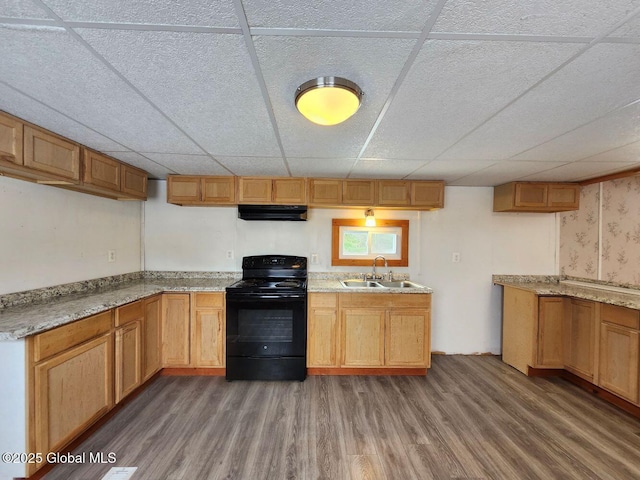 kitchen featuring black range with electric stovetop, sink, a drop ceiling, and dark hardwood / wood-style flooring