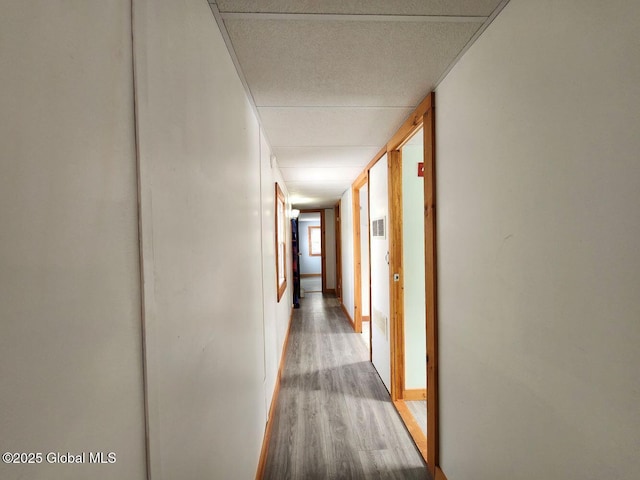 hall featuring wood-type flooring