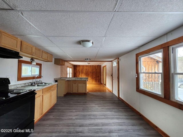 kitchen with black range with electric stovetop, sink, light brown cabinets, dark hardwood / wood-style floors, and wood walls