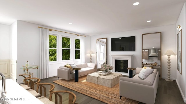 living room featuring dark wood-type flooring