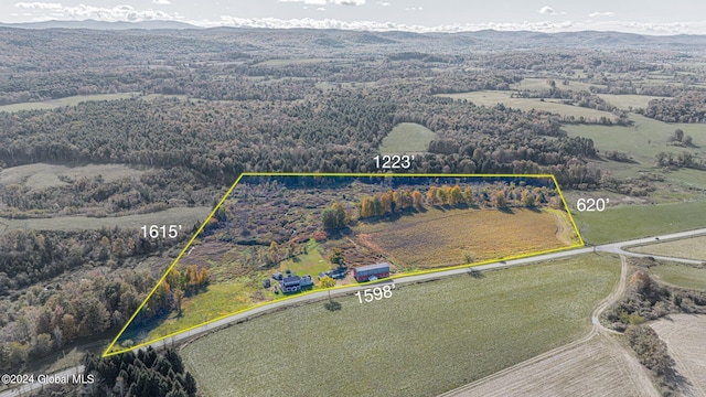 birds eye view of property with a mountain view and a rural view