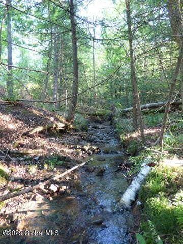 Listing photo 3 for 91 Gull Bay Rd, Putnam NY 12861