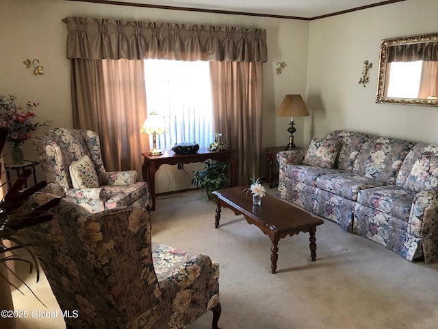 24 4th Ave, Gloversville, NY 12078 - living room with light carpet and crown molding