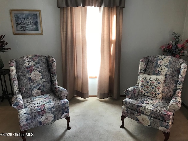 24 4th Ave, Gloversville, NY 12078 - living area featuring light carpet