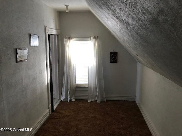 24 4th Ave, Gloversville, NY 12078 - additional living space with dark colored carpet, a healthy amount of sunlight, and vaulted ceiling