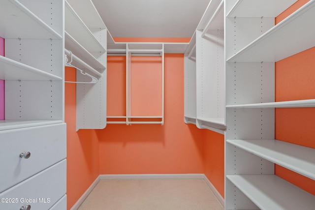 walk in closet featuring carpet floors