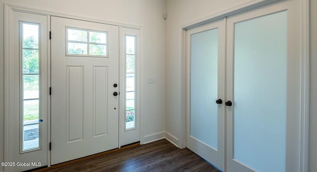 entrance foyer with dark wood-type flooring