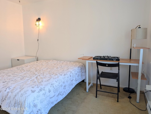 bedroom with carpet flooring