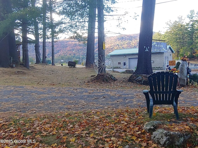 view of yard with a garage