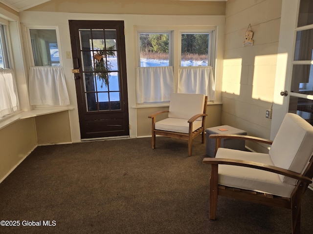 sitting room with dark colored carpet