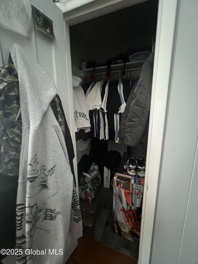 view of closet