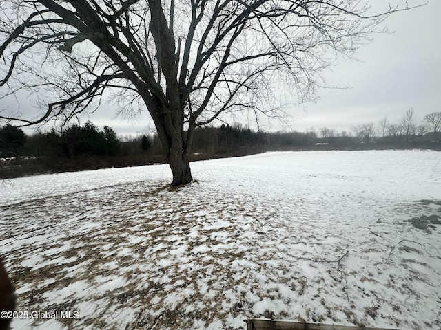 view of yard covered in snow