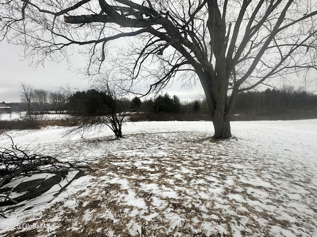 view of snowy yard