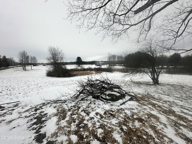 view of snowy yard