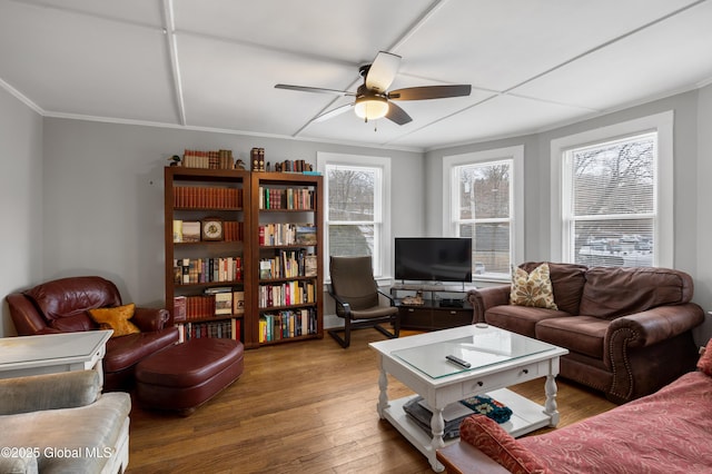 living room with ceiling fan and dark hardwood / wood-style flooring