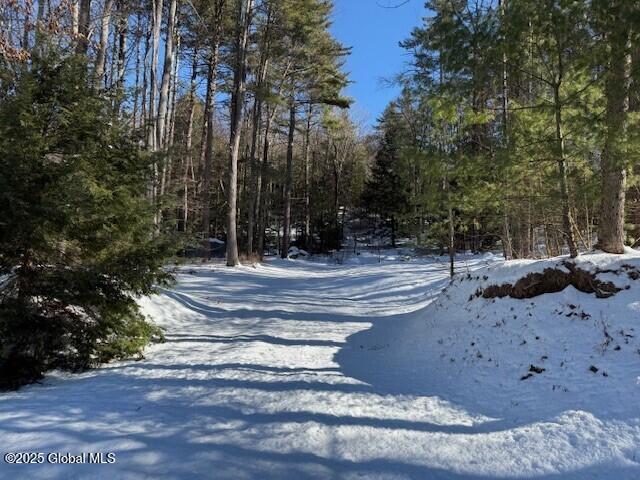 152 Bloody Pond Rd, Lake George NY, 12845 land for sale