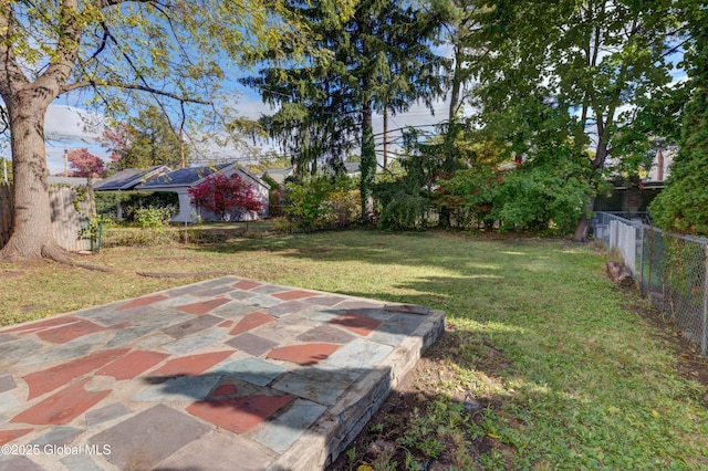 view of yard with a patio