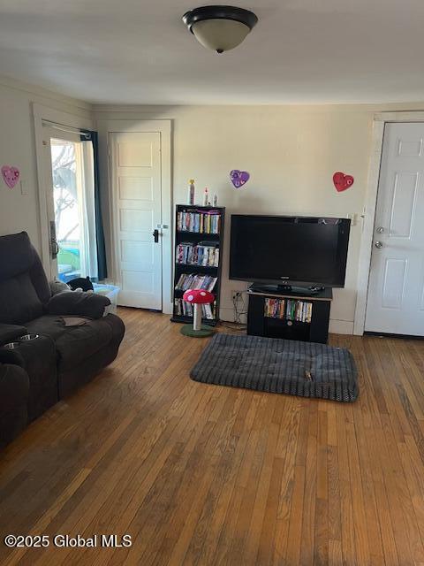 living room with hardwood / wood-style flooring