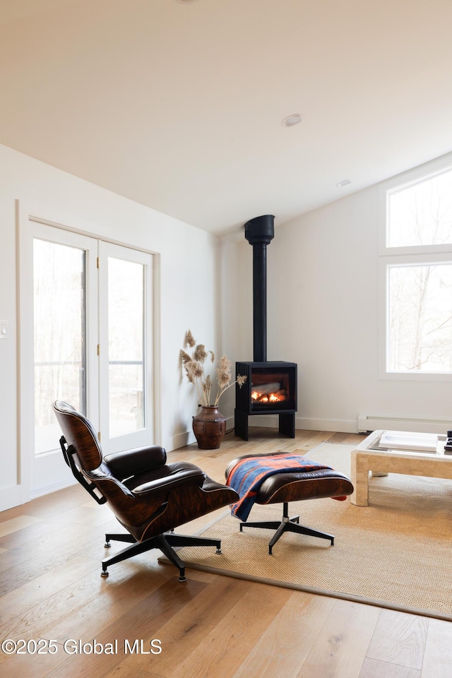 living room featuring light hardwood / wood-style floors and a wood stove