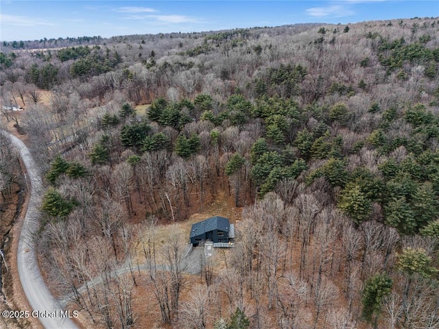 bird's eye view