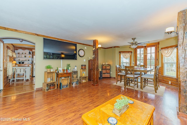 living room with ceiling fan, hardwood / wood-style floors, and crown molding