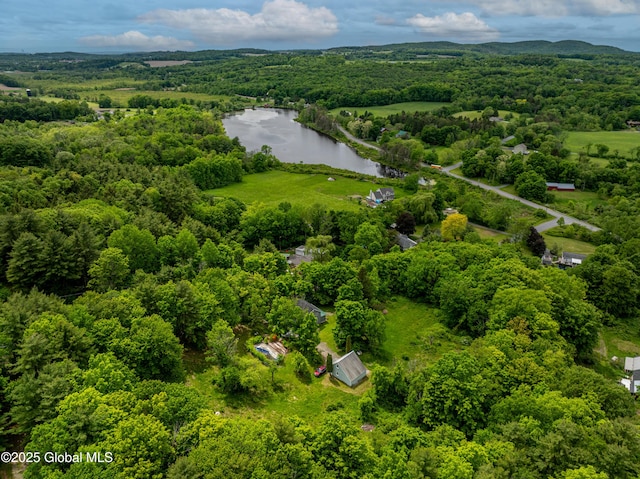 13 Camel Hill Rd, Brunswick, NY 12180 - drone / aerial view of a nearby body of water and a heavily wooded area