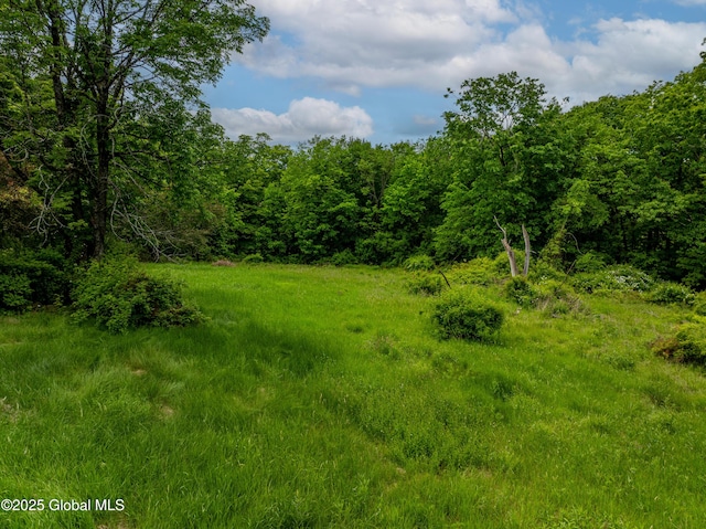 13 Camel Hill Rd, Brunswick, NY 12180 - view of wooded area
