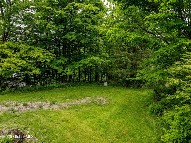 13 Camel Hill Rd, Brunswick, NY 12180 - view of yard featuring a wooded view