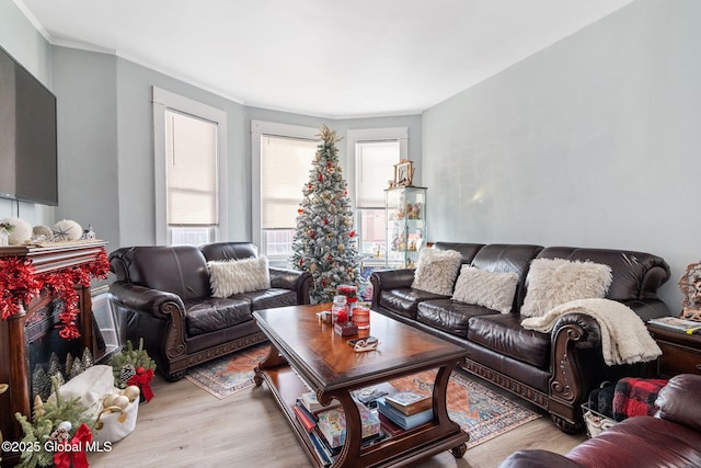 living room with ornamental molding and light hardwood / wood-style floors