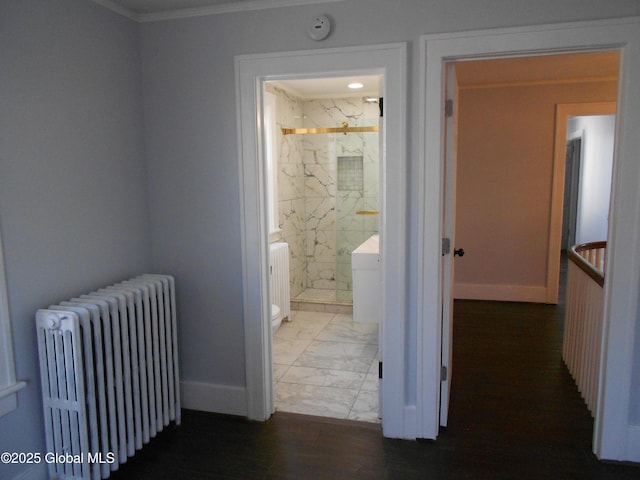 corridor featuring ornamental molding and radiator