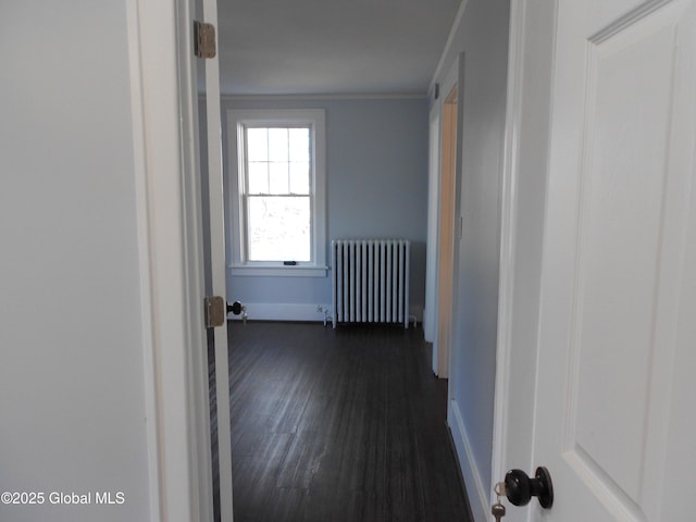 hallway featuring radiator, dark hardwood / wood-style flooring, and crown molding