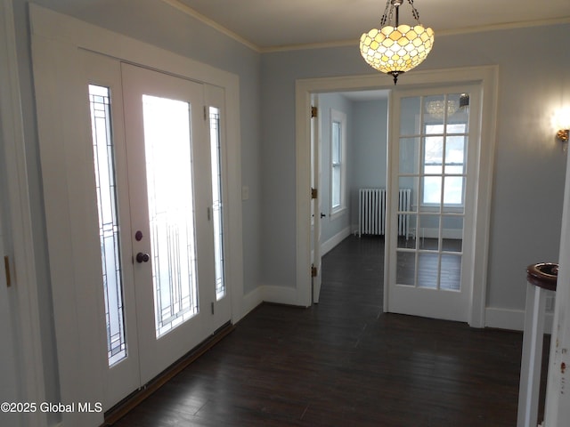 foyer featuring ornamental molding, radiator heating unit, and dark hardwood / wood-style floors