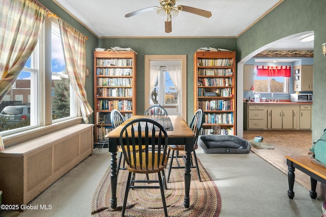 carpeted dining room featuring crown molding, ceiling fan, sink, and radiator heating unit