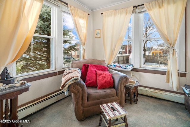 living area featuring carpet flooring, a healthy amount of sunlight, and a baseboard radiator