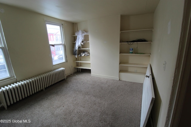 interior space with carpet floors and radiator heating unit