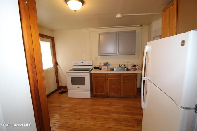 kitchen with sink, white appliances, and light hardwood / wood-style flooring