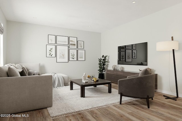 living room featuring light hardwood / wood-style flooring