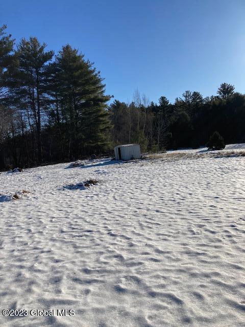 view of snowy yard